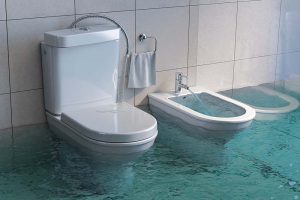 overflowing toilet in New Port Richey, FL